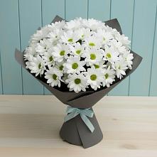 Букет цветов из:  Хризантемы #REPLACE_PRED# Чашниково