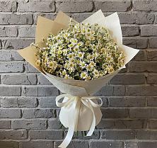 Букет цветов из:  Ромашки в Чашниково