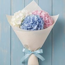 Букет цветов из:  Гортензия в Чашниково