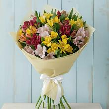 Букет цветов из:  Альстромерии в Чашниково