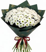 Букет цветов из:  Хризантемы в Чашниково