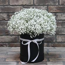 Цветочная композиция из Гипсофила в шляпной коробке в Чашниково